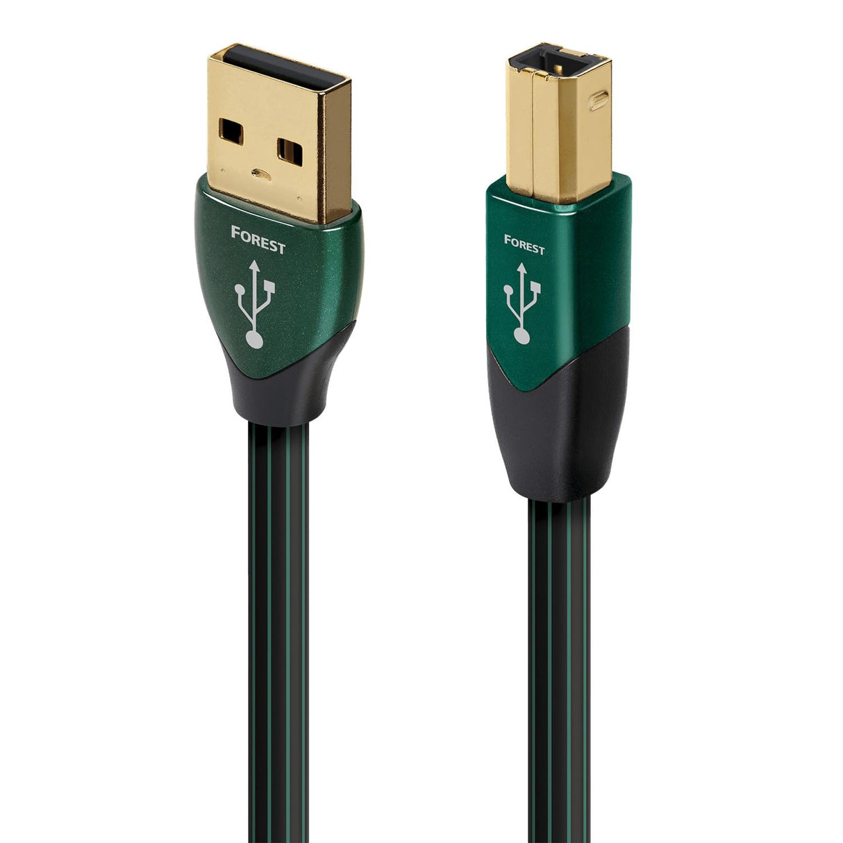 3.0M Forest USB