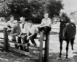 Fury - Komplettbox / Die komplette 114-teilige Kultserie in einer Box (Pidax Serien-Klassiker) [Alemania] [DVD]