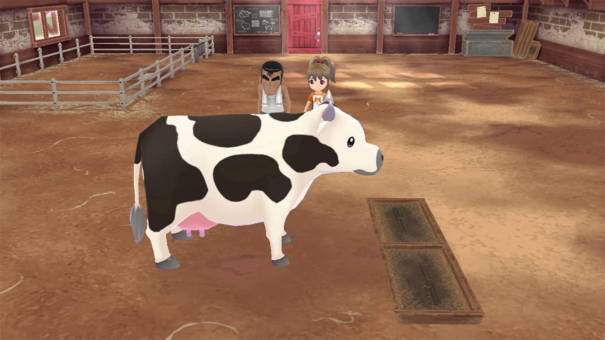 Story of Seasons: A Wonderful Life Premium Edition for Nintendo Switch [USA]