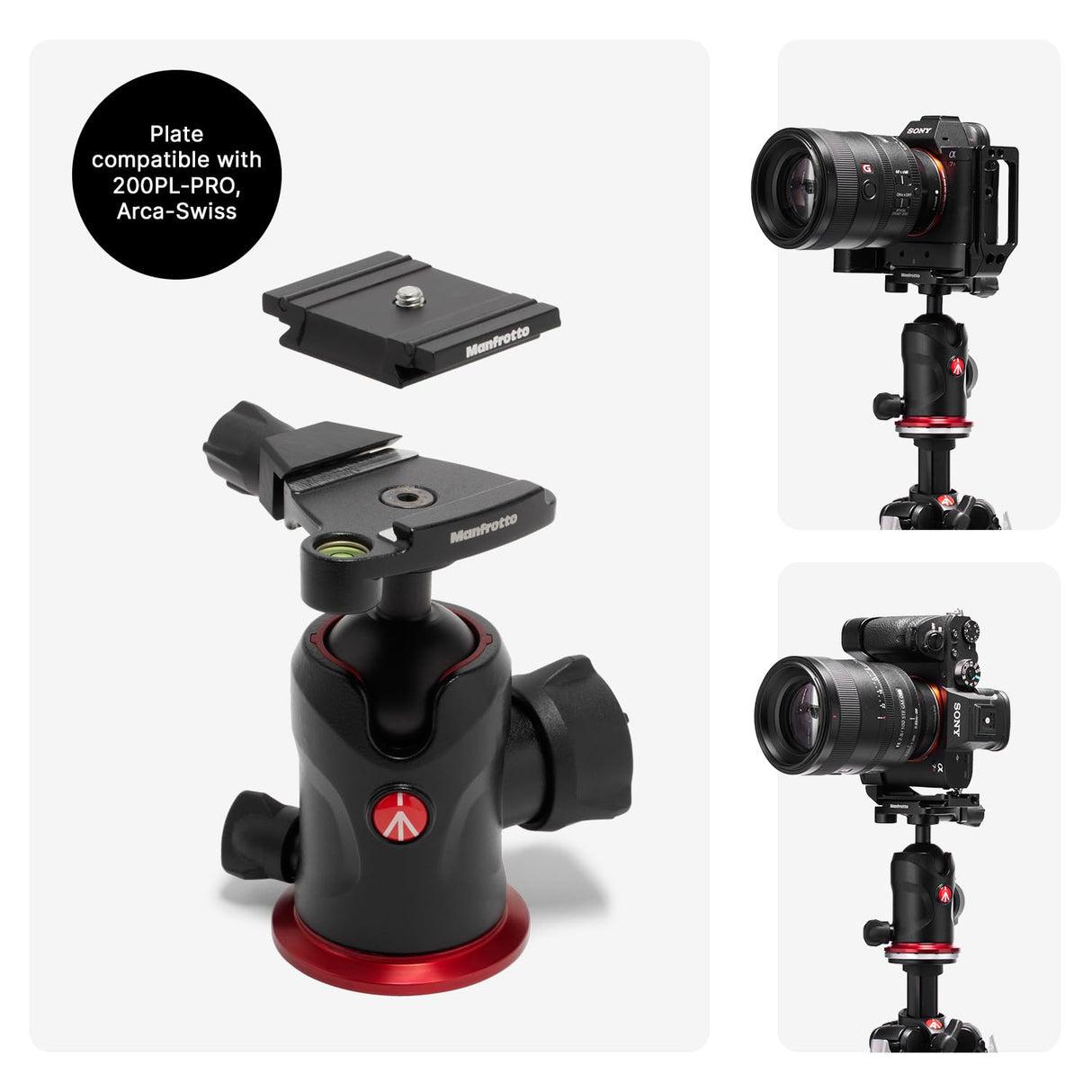 Manfrotto 290XTRA Trípode Cámara Aluminio con Rótula 496, 3 Secciones, 4 Ángulos, Cierres Rápidos, Placa Arca-Swiss, 10 kg, Bolsa, para DSLR, Cámaras sin Espejo y Compactas