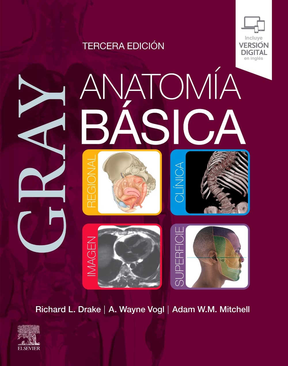 Gray. Anatomía básica (3ª ed.)