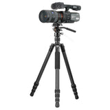 Vanguard Vesta GO 264CV12 - Trípode de Viaje de Carbono, rótula de vídeo
