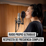 RØDE NT2-A Micrófono de condensador cardioide de gran diafragma versátil RØDE NT2-A con patrón polar conmutable, atenuador y filtro paso alto para grabación de voces e instrumentos