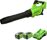 Greenworks GD40ABK2X Soplador de Hojas a Batería Axial con Motor sin Escobillas, 210 km/h, 15,6 m³/min, Dos Baterías de 40V 2Ah y Cargador, Garantía de 3 Años