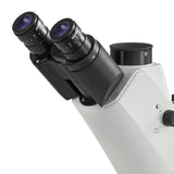 KERN Microscopio de Fluorescencia inversa