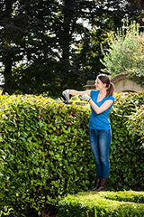 Ryobi RHT1845-20 Ryobi RHT1845-20 - Cortasetos (espada de 45 cm, 2,0 Ah, 18 V)