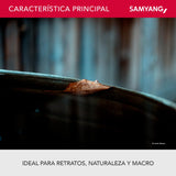 Samyang F1312306101 - Objetivo para vídeo VDSLR para Sony E T3.1 AS IF UMC II (Distancia Focal Fija 100mm, diámetro Filtro: 67mm), Negro
