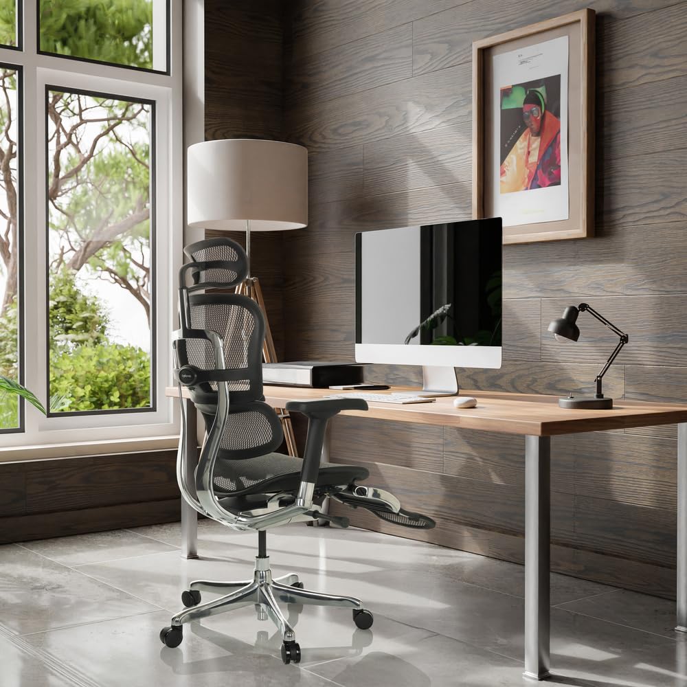 hjh OFFICE Silla de dirección con reposapiés ERGOHUMAN Plus LEGPRO GEN2 Silla de Oficina ergonómica de diseño Original, Totalmente Equipada, Malla Negra