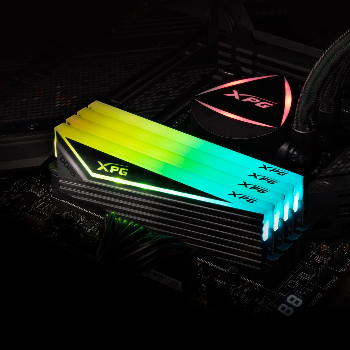 ADATA XPG MÓDULO DRAM Caster RGB DDR5 6400 MHz, 16GB (1 x 16GB), CL40, Negro