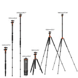 K&F Concept Trípode Cámara,198cm Trípode de Viaje Aluminio,Trípode Compacto con Monopie,Trípode Fotografía Professional con 360° Rótula de Bola y Placa de Liberación para Cámara DSLR Canon Nikon Sony