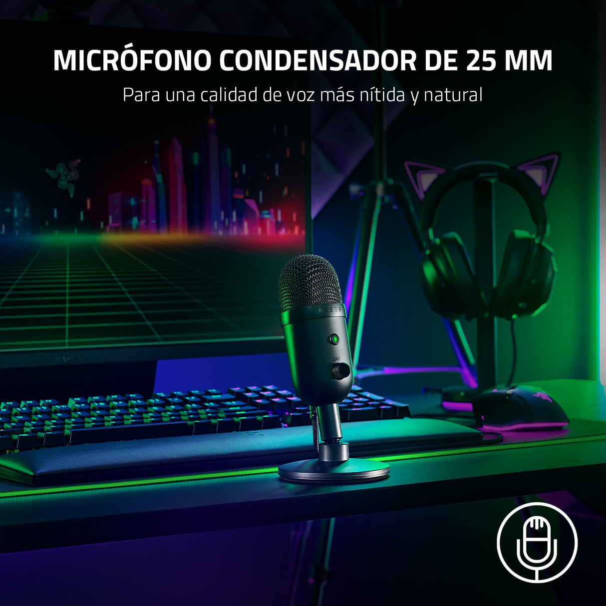 Razer Seiren V2 X - USB-Mikrofon für Streamer (25-mm Mikrofon, Supernieren-Richtcharakteristik, Verstärkungsbegrenzer, Mikrofonüberwachung, Schockdämpfer) Noir