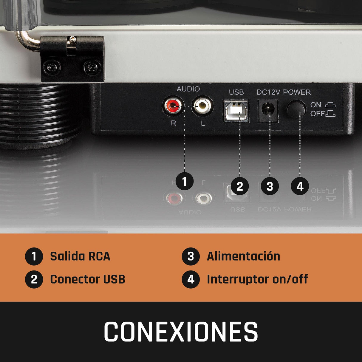 Lenco LS-50 Giradiscos con puerto USB, en carcasa de madera con altavoces integrados y amplificador integrado, 2 x 3 vatios