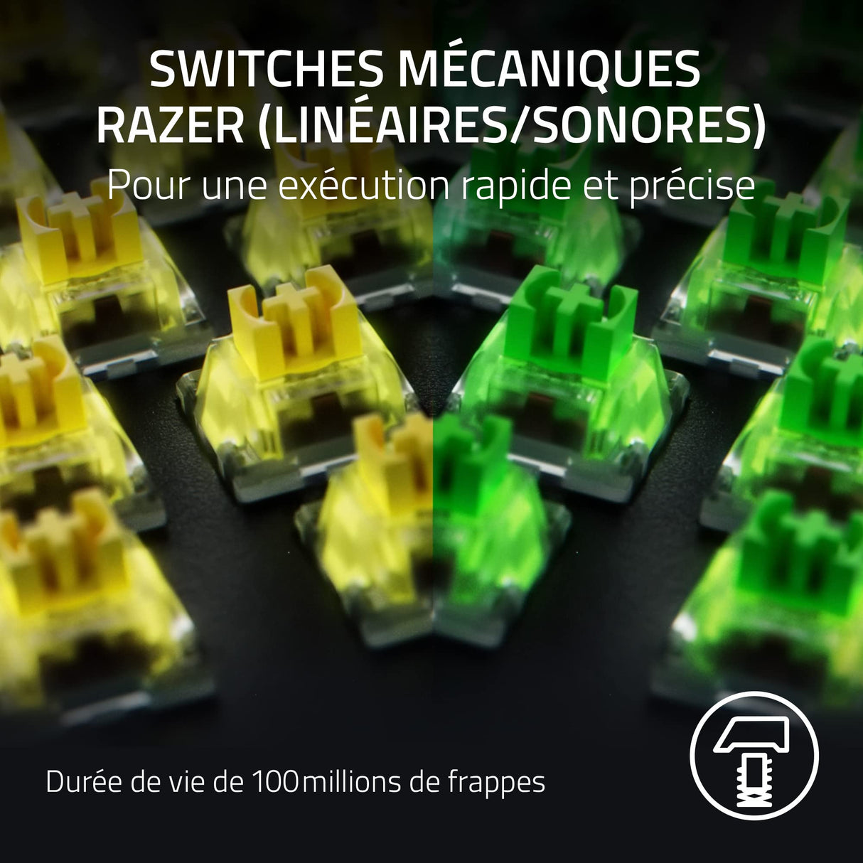Razer BlackWidow V4 Pro (Switches Amarillo) - Teclado Gamer Mecánico (Interruptores Mecánicos Silenciosos, Rueda de 8 Teclas Macro Dedicadas, Reposamanos de Imitación, RGB Chroma) Teclado FR | Negro