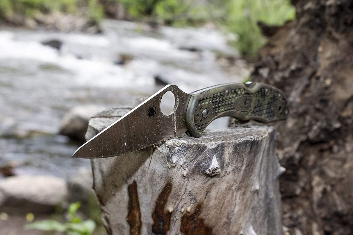 Spyderco C11PBK Navaja, Einhandmesser DELICA 4-C11PBK, Mango Negro, Hoja de Acero Inoxidable, PlainEdge