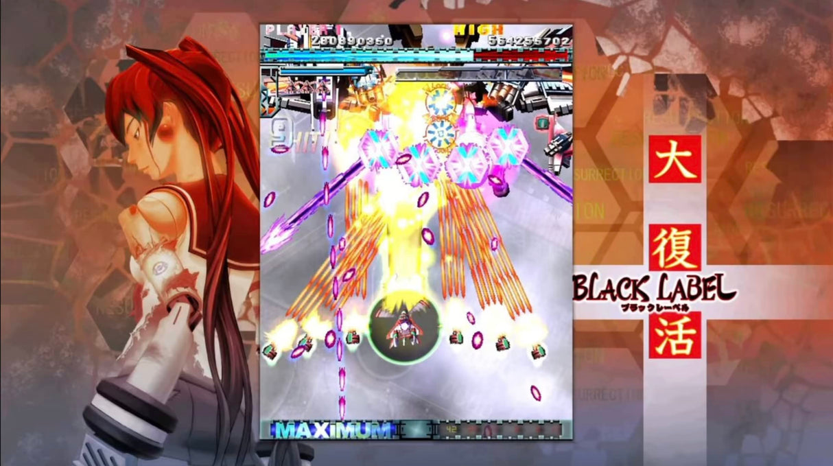 DoDonPachi Resurrection (importación)