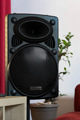 DYNASONIC - DYNAPRO 12 Plus (3ª Generación Pack Tripode) Altavoz Bluetooth Portatil Profesional, Altavoz Bluetooth Potente 700W 2 microfonos Karaoke, Soporte Tablet y tripode UHF