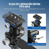 NEEWER Cámara Vídeo Trípode Cabezal Inclinable con Base Niveladora +/-15°, Cabezal de Trípode Fotografía con Mango Retráctil,1/4" Placa QR Tipo Arca para Videocámara DSLR, Carga Máx 11lb/5kg, TH03