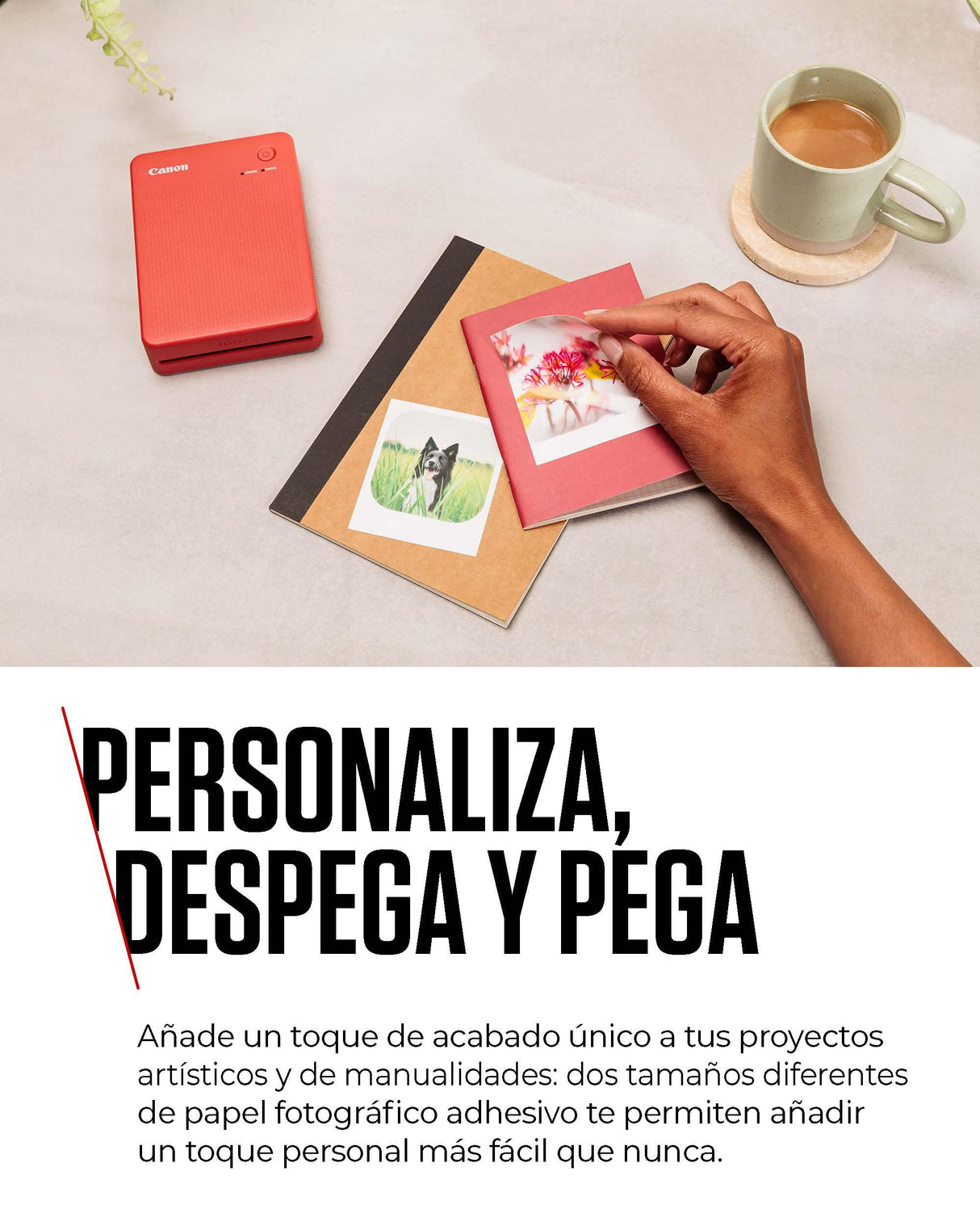 Canon SELPHY QX20: Impresora portátil de Fotos por Wi-Fi, sublimación de Tinta, 2 tamaños con Dorso Autoadhesivo, Carga USB-C. Blanco (Sin Tinta/Papel).