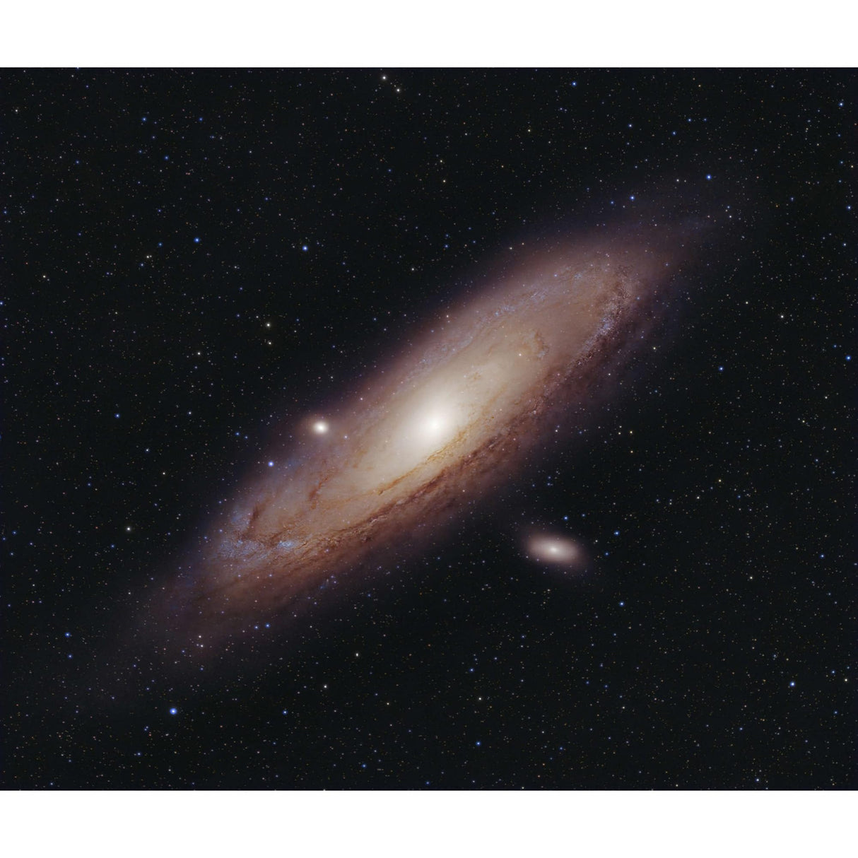 VAONIS Vespera II Observation Telescope Station - NO Tripod (VE50-II)