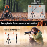 Rollei Tripode Camara Naranja, 145cm Compact Traveler No.1 Carbon Trípode de Viaje Ligero y Portátil con Soporte para Teléfono y Rótula de Bola para Nikon Sony Canon, Trípode-Cámara-Viaje-Tripod