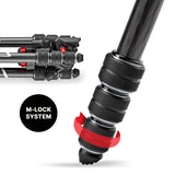 MANFROTTO Trépied Befree Live Carbone MVKBFRTC-Live Twist Lock Avec rotule Ball