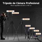Rollei Rock Solid Beta Mark III, 178,5cm Tripode Fibra de Carbono Trípode Cámara Negro con Capacidad de Carga de 24kg Camera Tripod Flexible con Función de Monopié para Fotografía Profesional