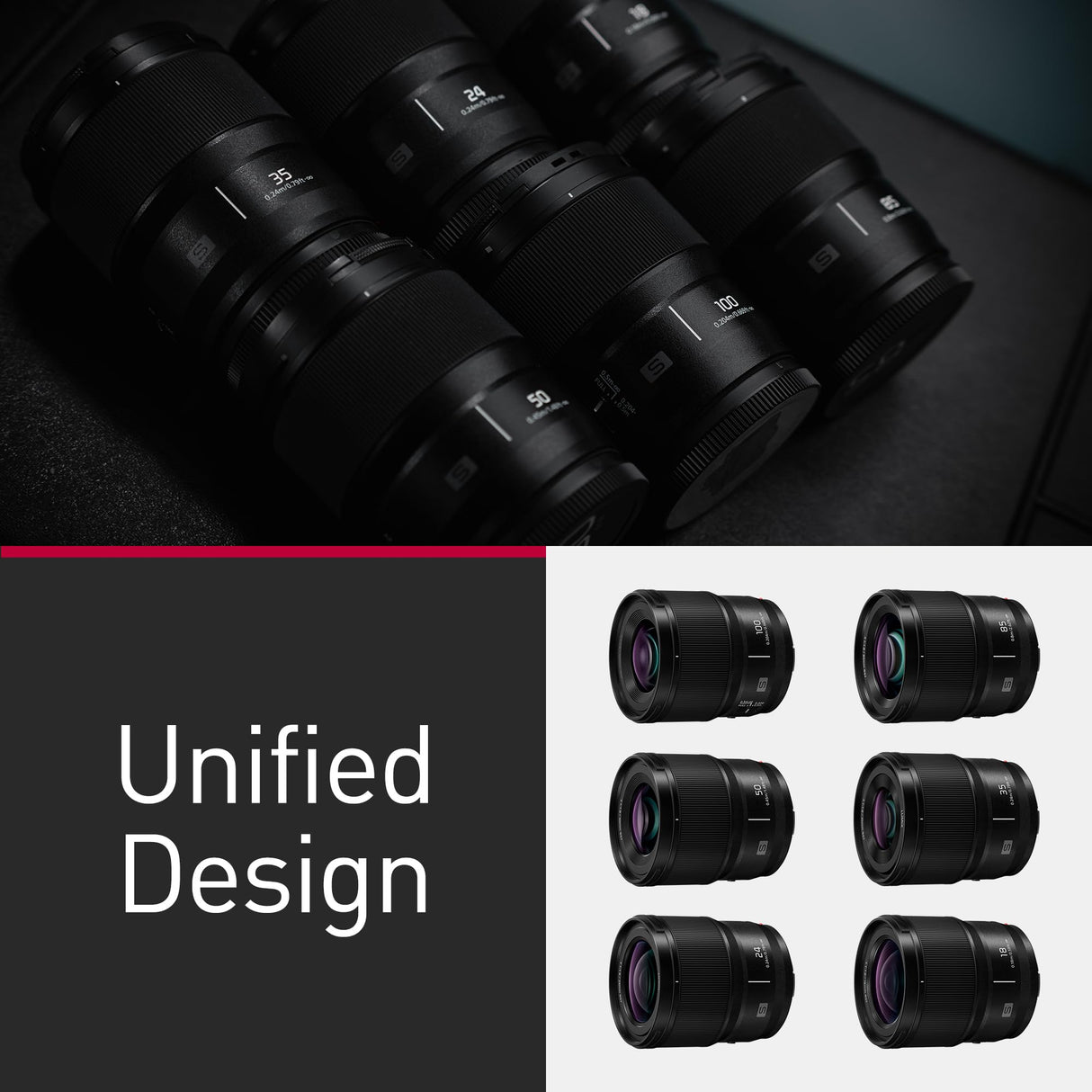 Panasonic Lumix S-E100 Lente Macro F2.8 100 mm, Lente de Fotograma Completo, Diseño Compacto y Liviano, 298 g, Motor Lineal de Doble Fase, Aumento de Tamaño Real 1:1, Ideal para Video, Negro