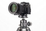 Benro GX35 - Cabezal de Bola de Perfil bajo con Placa PU56, Capacidad de 35 kg, Doble Panorama, Aluminio, Arca-Swiss, Ultraligero, Mecanismo de Bloqueo Seguro