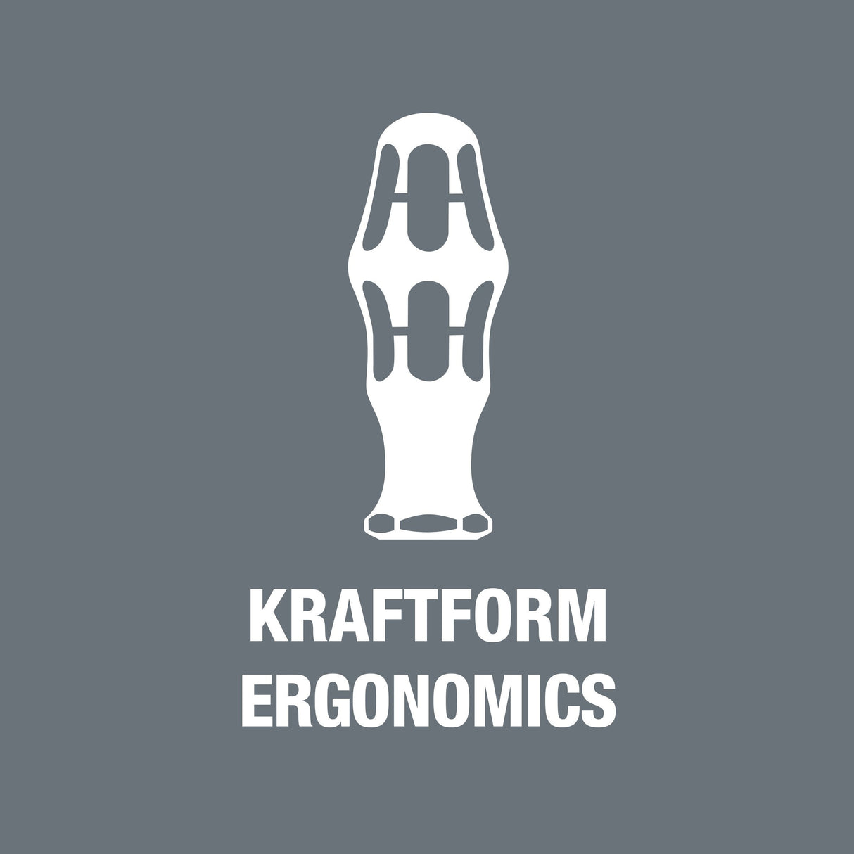 Wera 05074738001 - Maletín con destornillador dinamométrico con juego de puntas (ajustable, 0,3 - 3,0 N m)