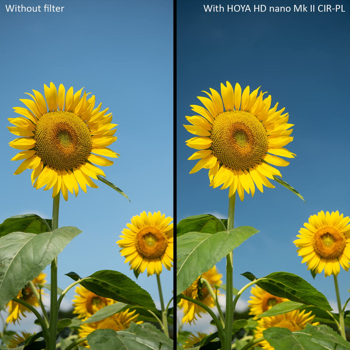 HOYA Circular Polarizing Filter HD Nano MkII ø82mm
