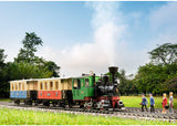 LGB- Startset Personenzug 70307 L70307-Kit de Tren de jardinería con Locomotora y Dos vagones, Color Pista g, 85 x 12 x 16 cm (Gebr. Märklin & CIE. GmbH