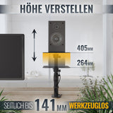 RICOO Altavoces de Mesa LH069-C, Soporte de Mesa Universal, 2 Soportes Altavoces Pie, Soporte Altavoz, Dimensiones 230 x 230 x 551 mm, Negro