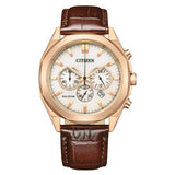 Citizen Watch CA4593-15A