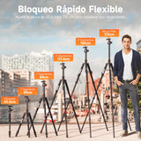 Rollei C6i Tripode Camara Nergo, 172cm Tripode Carbono Fotografia de Viaje Portátil con Cabezal Esférico de 360° Camera Tripod para Sony Canon Nikon Trípode Móvil con Soporte para Teléfono