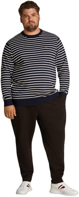 Tommy Hilfiger Jersey Hombre Essential Cotton con Cuello Redondo, Multicolor (Desert Sky/Ivory Petal), XXL