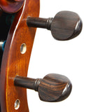 Forenza F2450C - Equipo de violonchelo
