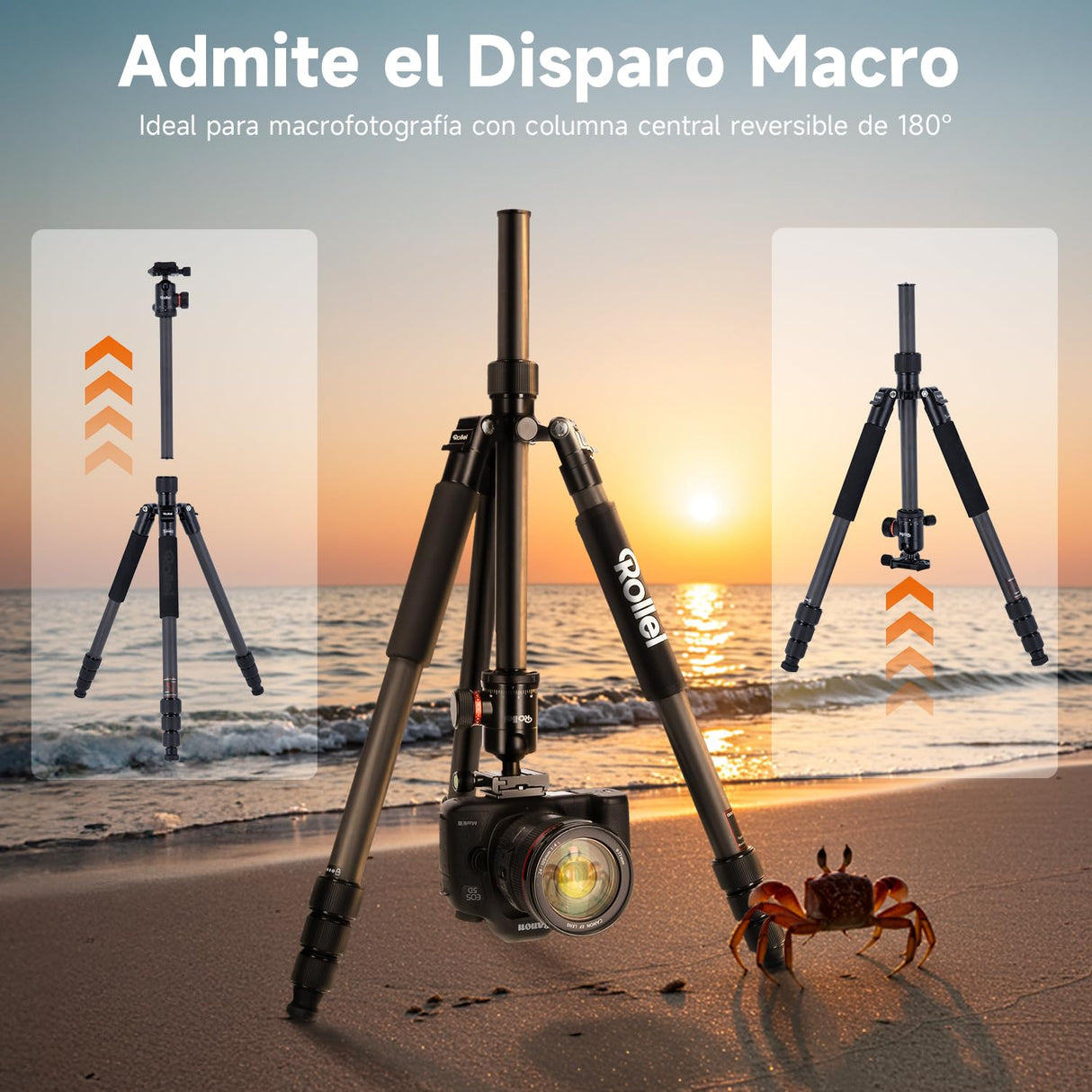 Rollei C6i Tripode Camara Nergo, 172cm Tripode Carbono Fotografia de Viaje Portátil con Cabezal Esférico de 360° Camera Tripod para Sony Canon Nikon Trípode Móvil con Soporte para Teléfono