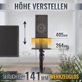 RICOO Soporte de Mesa para Altavoces LH069-T, Soporte, Ideal para Sonido Envolvente y Alta Fidelidad, Juego de 2, 240x240x405 mm, Negro