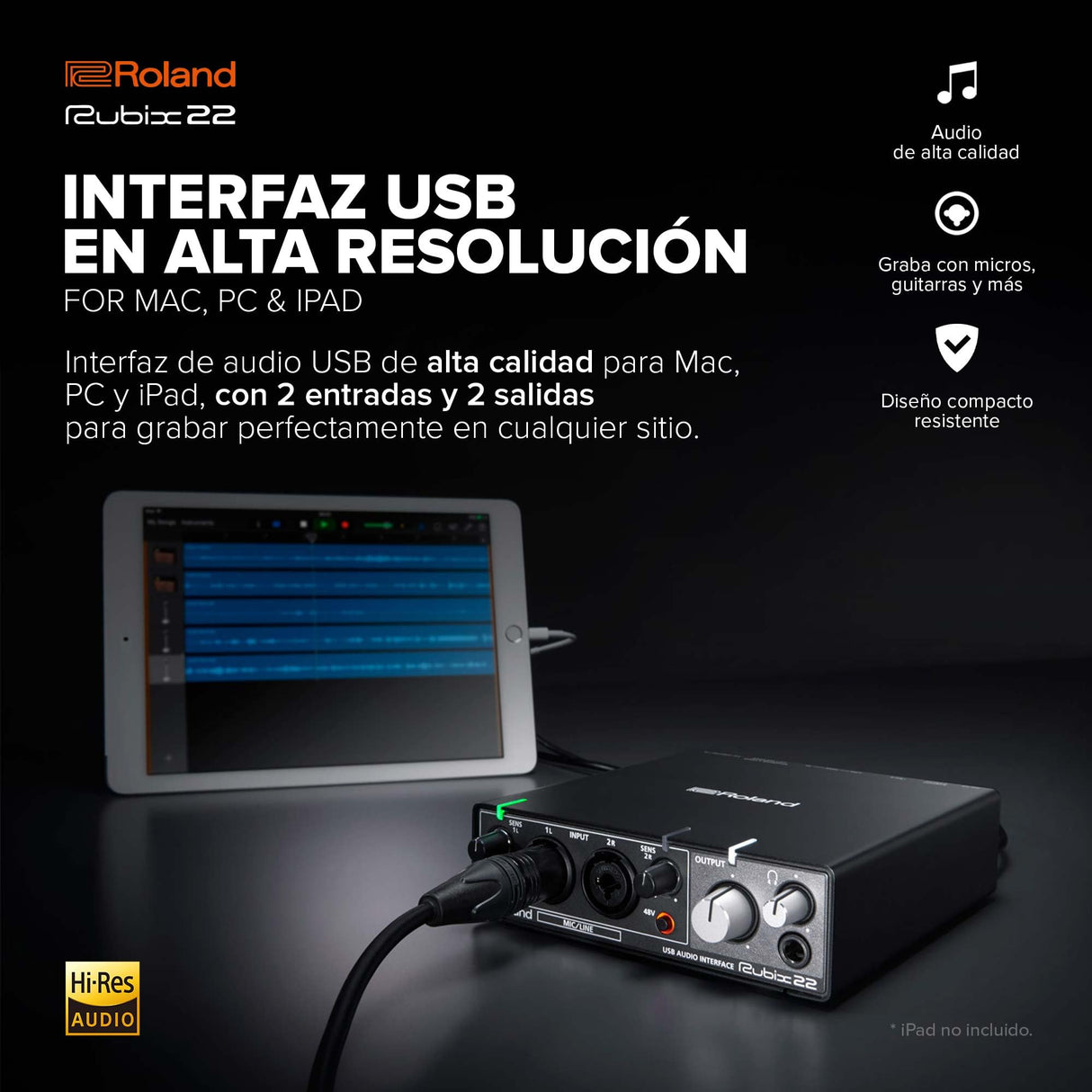 Roland Rubix22 Interfaz de audio USB de dos entradas y dos salidas | Audio en alta resolución | Graba con micros, guitarras, teclas y más | Compacto y resistente | Compatible con Mac, PC y iPad