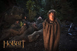 Der Hobbit: Die Spielfilm Trilogie - Extended Edition [4K Ultra-HD] [Alemania] [Blu-ray]