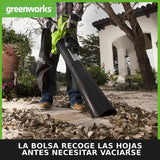 Greenworks GD40BVK2X Soplador Aspirador de Hojas a Batería con Motor sin Escobillas, 280 km/h, 9,63 m³/min, Bolsa Recogedora de 45L, Dos de las Baterías de 40V 2Ah y Cargador, Garantía de 3 Años