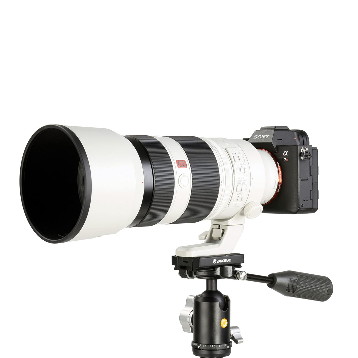 Vanguard Veo 2S CM-264TBP120T - Monopie para cámara réflex de Carbono con retráctil rótula Bola