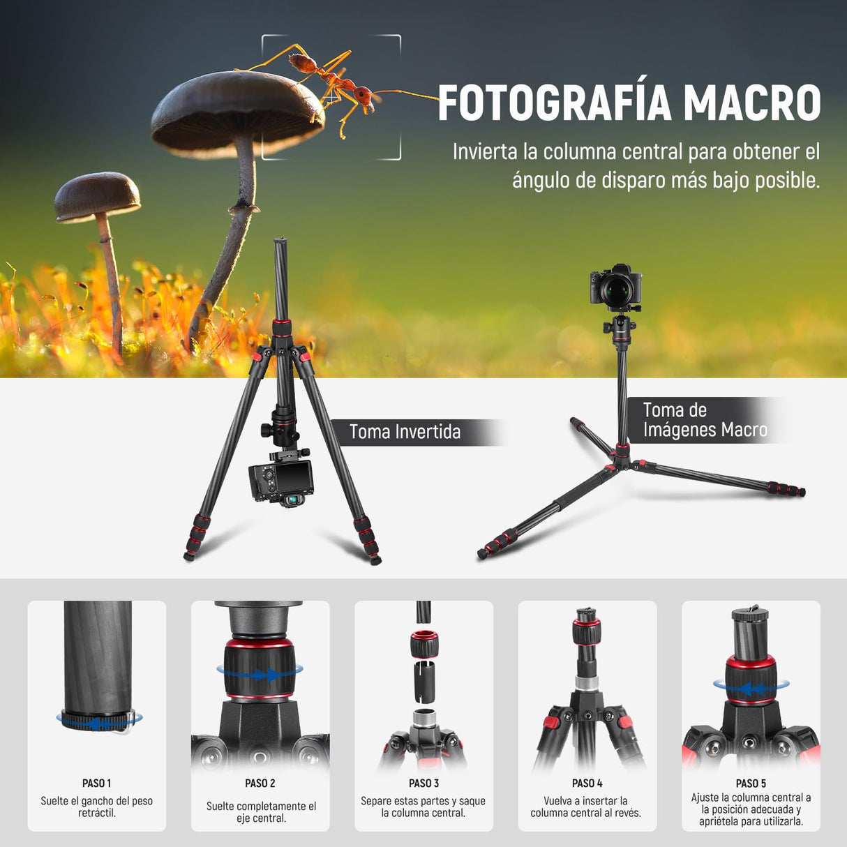 NEEWER 66"/168cm Trípode de Fibra Carbono para Cámara Cabeza de Bola Panorámica 360°,Placa Arca QR 1/4",Bolsa Portátil,Monopié Trípode Viaje Compacto Videocámara DSLR,Carga Máxima 26.5lb/12kg,N55C
