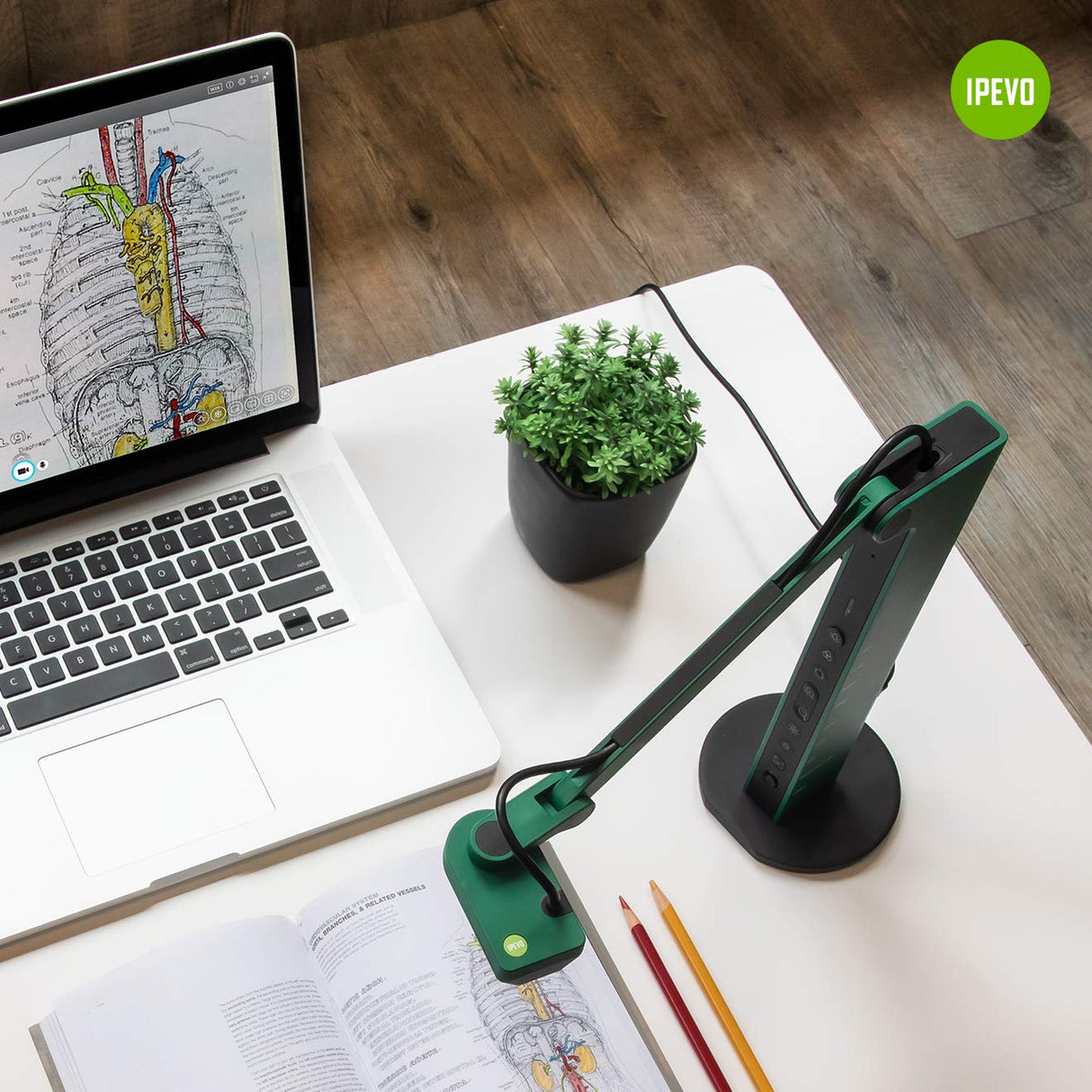 Ipevo VZ-R Modo Dual HDMI/USB de 8 megapíxeles – Herramienta de comunicación Visual para la enseñanza a Distancia, Video conferencias y demostraciones en Vivo. Funciona con o sin Ordenador.