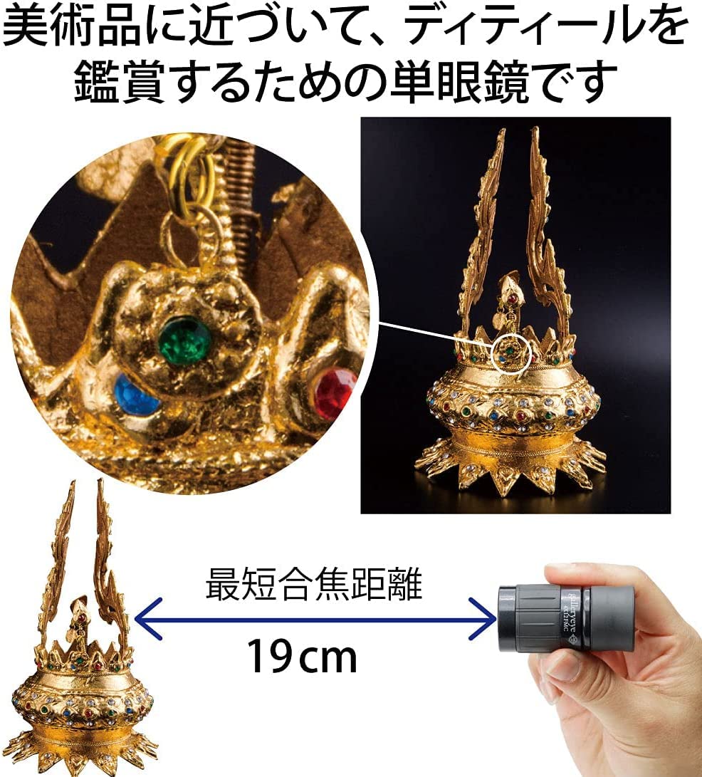 Kenko Gallery Eye 001462 - Monocular de 4 x 12 cm, Revestimiento múltiple, Distancia de Enfoque más cercana, 19 cm, Fabricado en Japón, para visualización de Arte, Color Negro