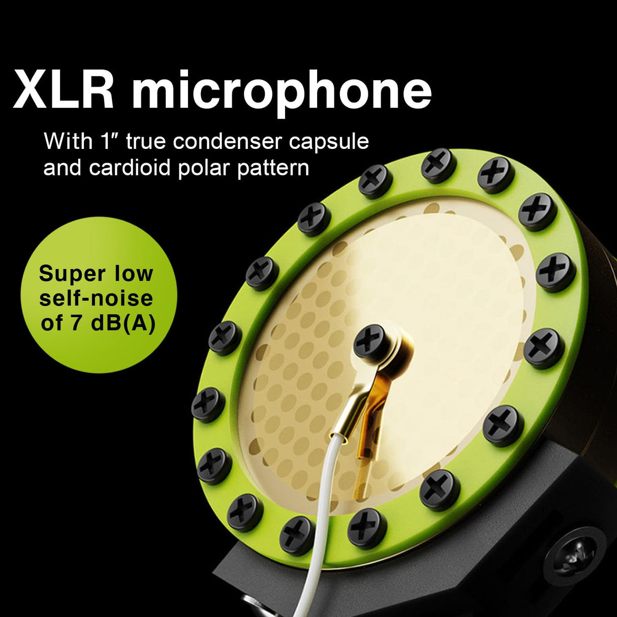 LEWITT Micrófono de condensador LCT 440 PURE XLR para voz, canto, grabación de instrumentos y transmisión