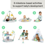 Ingenuity Tummy-to-Toes 6-in-1 Milestone Center Juguete para bebé, Multicolor, 0-48 Months (up 26lbs) (Kids2, Inc. 16904)