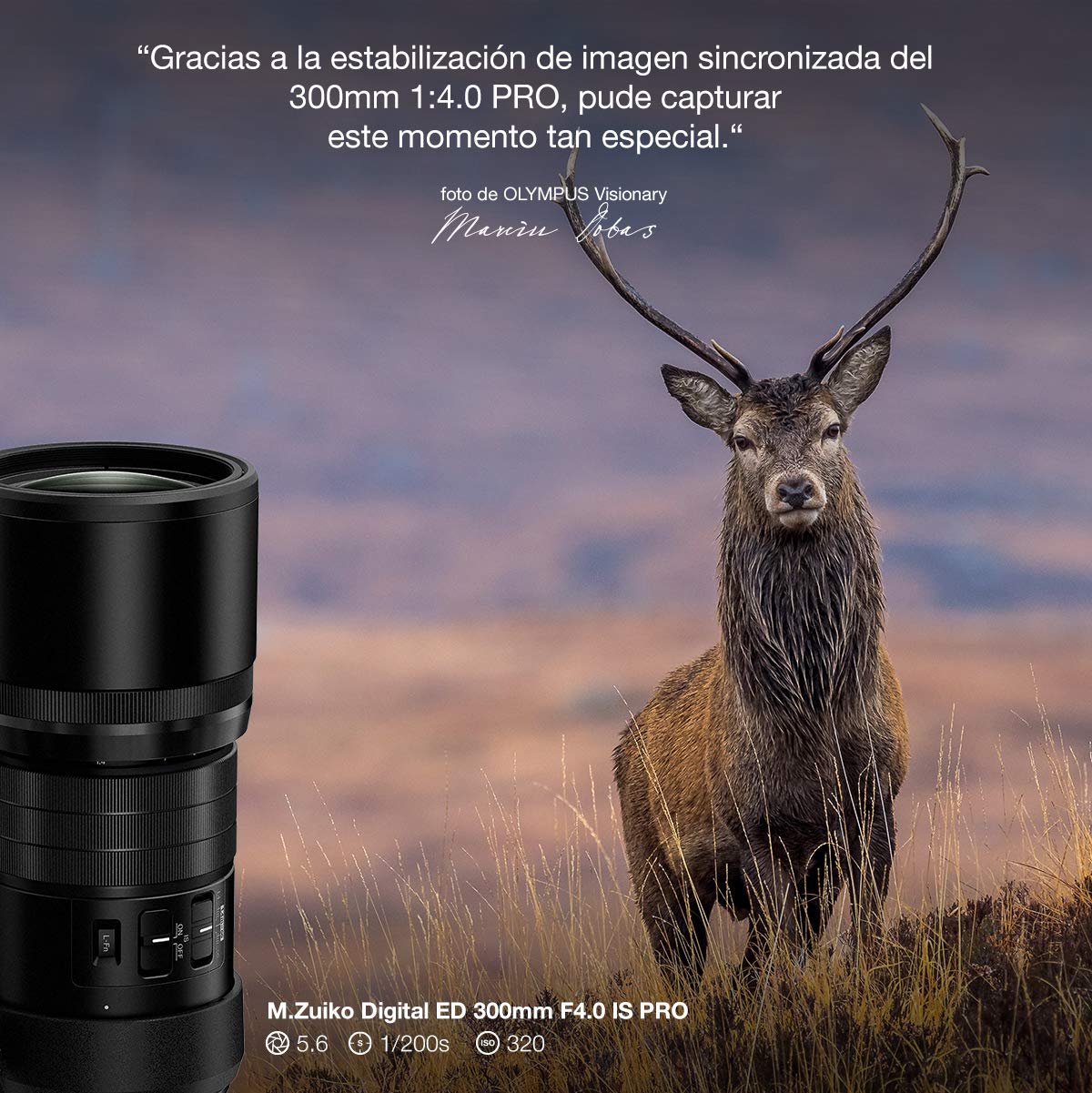 Objetivo Olympus M.Zuiko Digital ED 300 mm F4.0 Pro, teleobjetivo, Adecuado para Todas Las cámaras MFT (Modelos Olympus OM-D & Pen, Serie G de Panasonic), Negro
