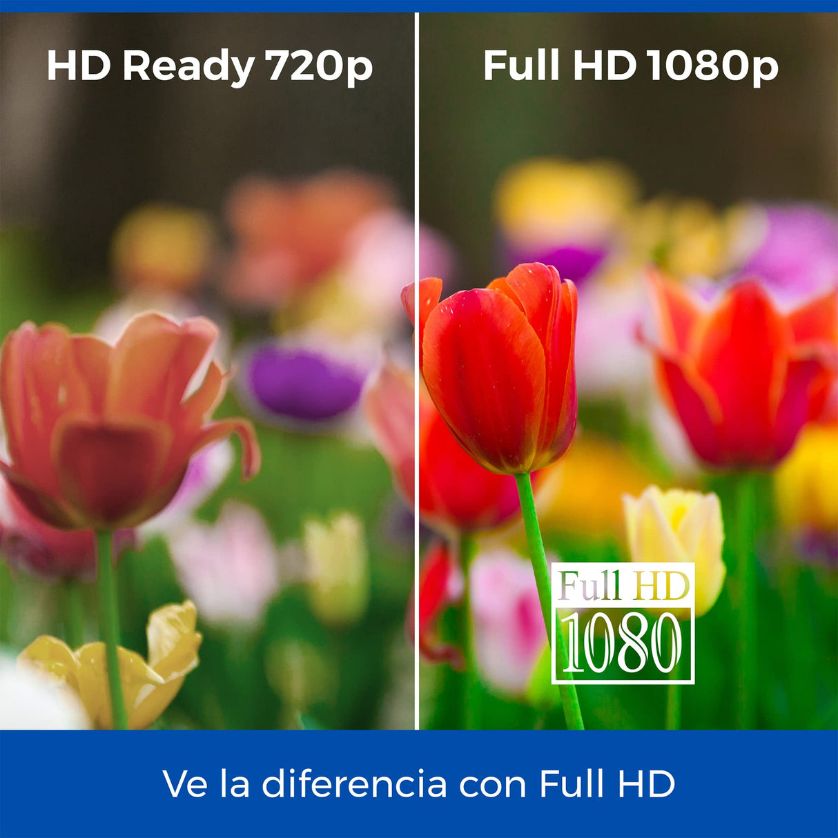 Cello M3220 32" Full HD LED Monitor de Ordenador HDMI VGA Sin parpadeos Tiempo de Respuesta antirreflejos 6 ms, Baja luz Azul para Proteger los Ojos
