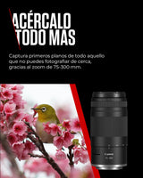 Canon Objetivo RF 75-300mm F4-5.6 | Teleobjetivo Zoom Ligero para Fotografía de Naturaleza y Deportes | Enfoque Automático y Revestimiento Super Spectra | Compatible con Cámaras Canon EOS R